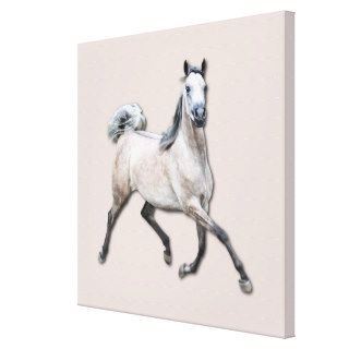 Arabian Horse   Alia Gallery Wrapped Canvas