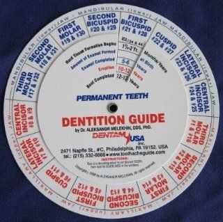 Dentition (Tooth Eruption) Guide/ Practitioner and Dental Student Exam Study Aid Reference Tool Gift Immediately and Correctly Gives the Answers When Every Primary (Also Called Baby Teeth, Milk or Deciduous Teeth) and Permanent (Adult) Teeth Form, Erupt (S