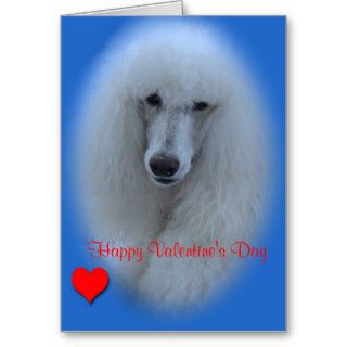 Standard Poodle Valentine Greeting Cards