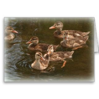 Ducklings Funny Mothers Day Card