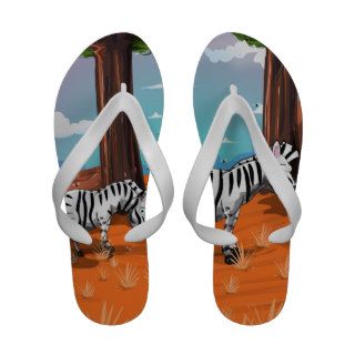 Zebra cartoon flip flops
