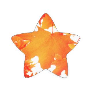 Tinted Orange Maple Leaf Star Sticker