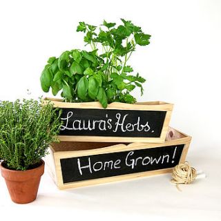 chalkboard planter set gift boxed by plant theatre
