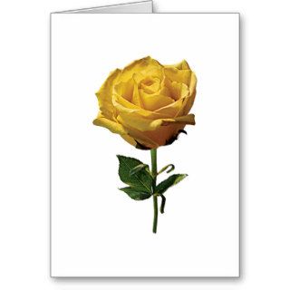 Yellow Rose Greeting Cards