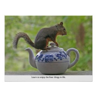 Squirrel Sitting on a Teapot Poster