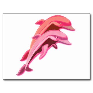 Pink Dolphin Design Postcard