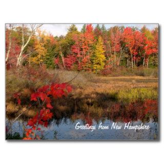 Greetings NH Fall Postcards