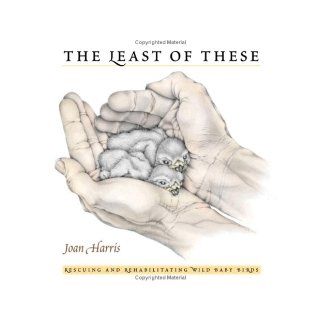The Least of These Wild Baby Bird Rescue Stories Joan Harris, Jane Goodall 9781558688605 Books