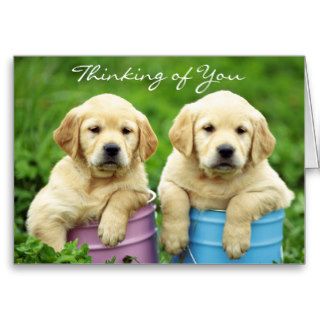Thinking of You Labrador Retriever Puppies Card