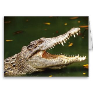 Crocodile and Caiman Junglewalk Greeting Cards