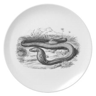 Vintage 1800s Cobra Snake Retro Cobras Drawing Party Plate
