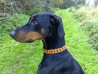 personalised number leather dog collar by woofles