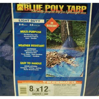 Dize Blue Poly Tarp — 8ft. x 12ft., Model# PT0812  Blue   Green Tarps
