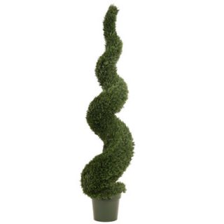 Distinctive Designs Spiral Cedar Topiary in Plastic Liner