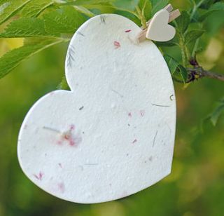 50 plantable butterflies with seeds by wildflower favours