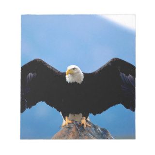 Eagle Wingspan Bald Memo Pad