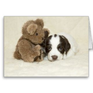 Puppy and Teddy Greeting Cards