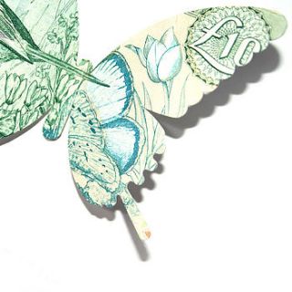 'a little flutter' money butterfly card by hupa lupa