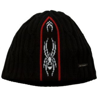 Spyder Lech Hat   Headphone beanies