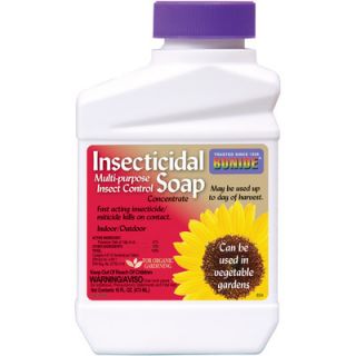 Bonide Insecticidal Soap Concentrate