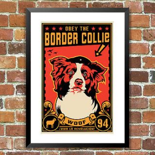 'obey the border collie' dog print by the animal gallery