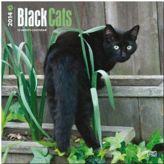 Black Cats 2014   Schwarze Katzen Original BrownTrout Kalender Mehrsprachig Kalender BrownTrout Kalender bei Strtz Bücher