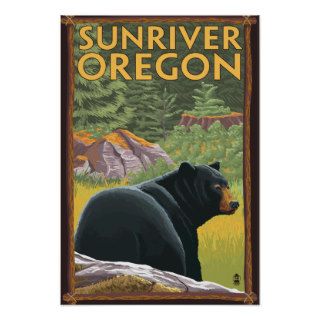Black Bear in Forest   Sun River, Oregon Poster