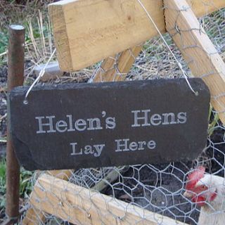 personalised slate chicken shed sign by winning works