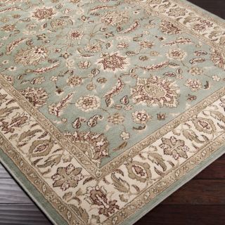 Free Form Seafoam Classic Border Rug