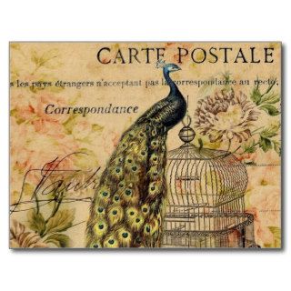 Vintage peacock floral botanical art postcard