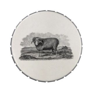 Vintage 1800s Merino Sheep Ram Lamb Template Jelly Belly Tin