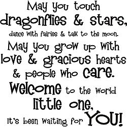 May You Touch Dragonflies Vinyl Wall Art Quote