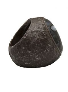 Brevard Dinosaur Bone Ring