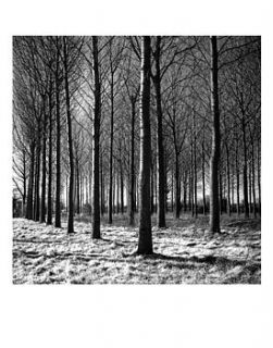 wicham skeith vi, black and white print by paul cooklin