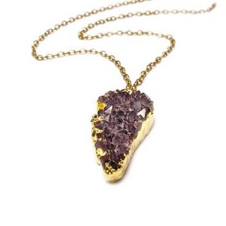 amethyst druzy wing necklace by eve&fox