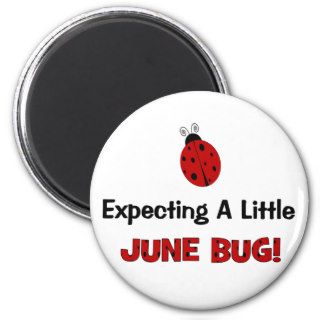 Expecting A Little June Bug Maternity Magnets