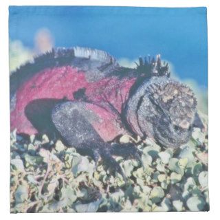 Marine iguana underwater napkins