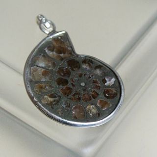 pyritised ammonite sterling silver pendant by gilbert and skeggs