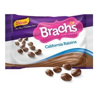 Brach's Chocolate Covered Raisins (12oz)  Candy And Chocolate Covered Fruits  Grocery & Gourmet Food
