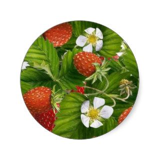 Strawberry Patch Round Sticker