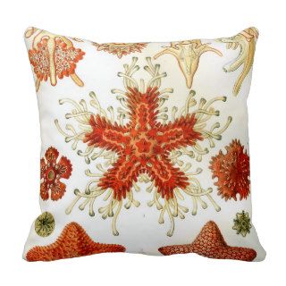 Common Starfish Designs Pillow