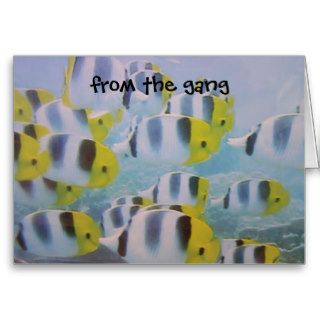 "SCHOOL OF FISH" THE GANG BIRTHDAY GREETINGS GREETING CARDS