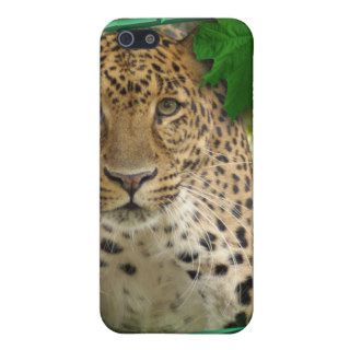 85 leopard st patricks 0030 iPhone 5 cases