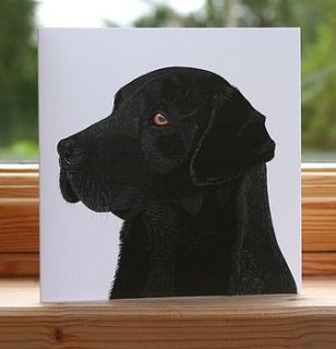 'black labrador' dog card by bird