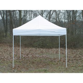 ShelterLogic Pop-Up Canopy — 10ft.L x 10ft.W, Truss Top, Straight Leg, White, Model# 22596W  Pop Up Canopies