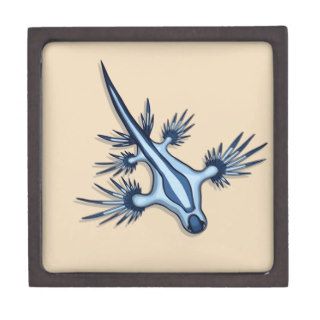 Blue Dragon Nudibranch Premium Jewelry Box