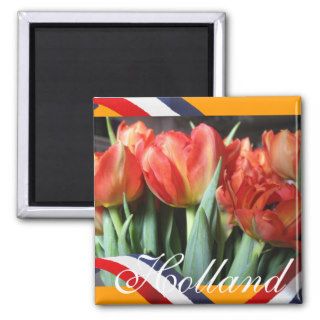 Dutch Red Tulips Orange Fridge Magnet