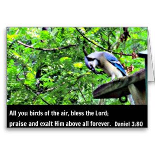 Daniel 380 Birds of the air, bless the Lord. Greeting Card