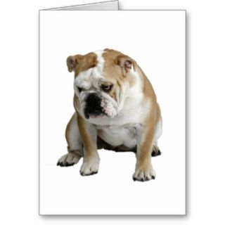 Sad Bulldog Cards