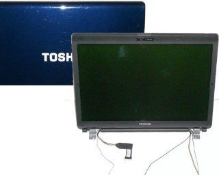 TOSHIBA SATELLITE L355D S7901, L355 S7905, L355 S7915 LAPTOP LCD REPLACEMENT SCREEN 17" WXGA+ CCFL (GLOSSY) Computers & Accessories